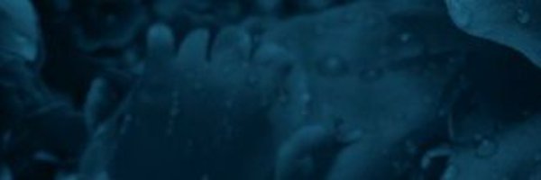 fcs_es Profile Banner