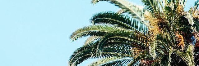 leonords91's profile banner image