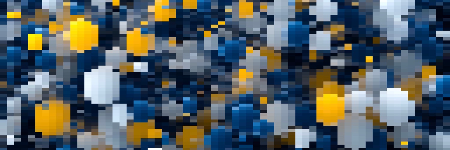 Slava Baranskyi, FCIM banner