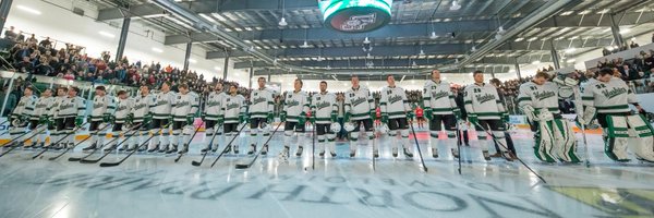 Huskie Men's Hockey Profile Banner