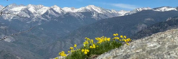 hui_enfu Profile Banner
