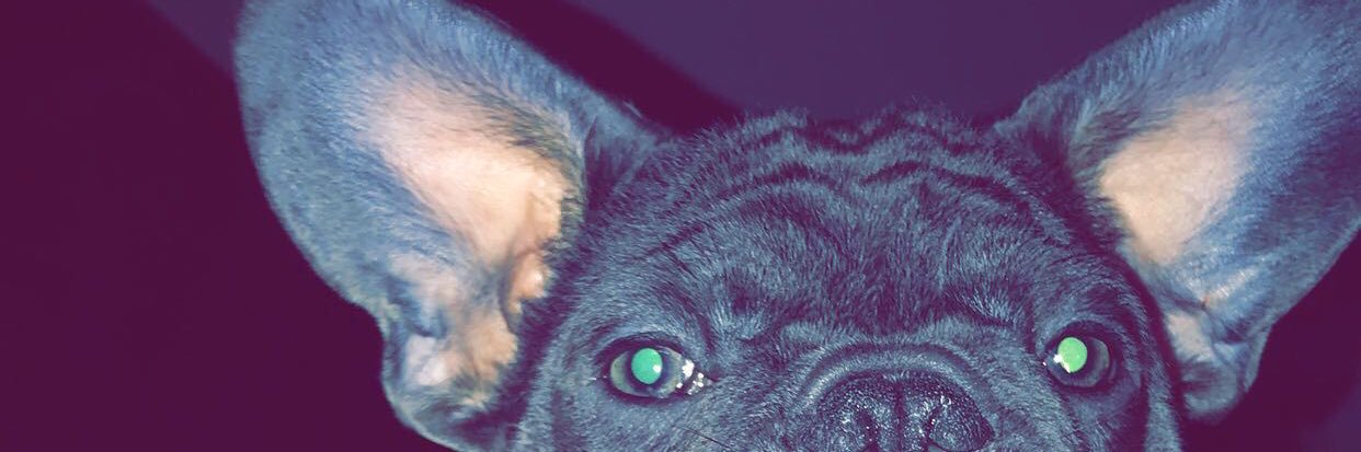 DeclanFlannery1's profile banner image
