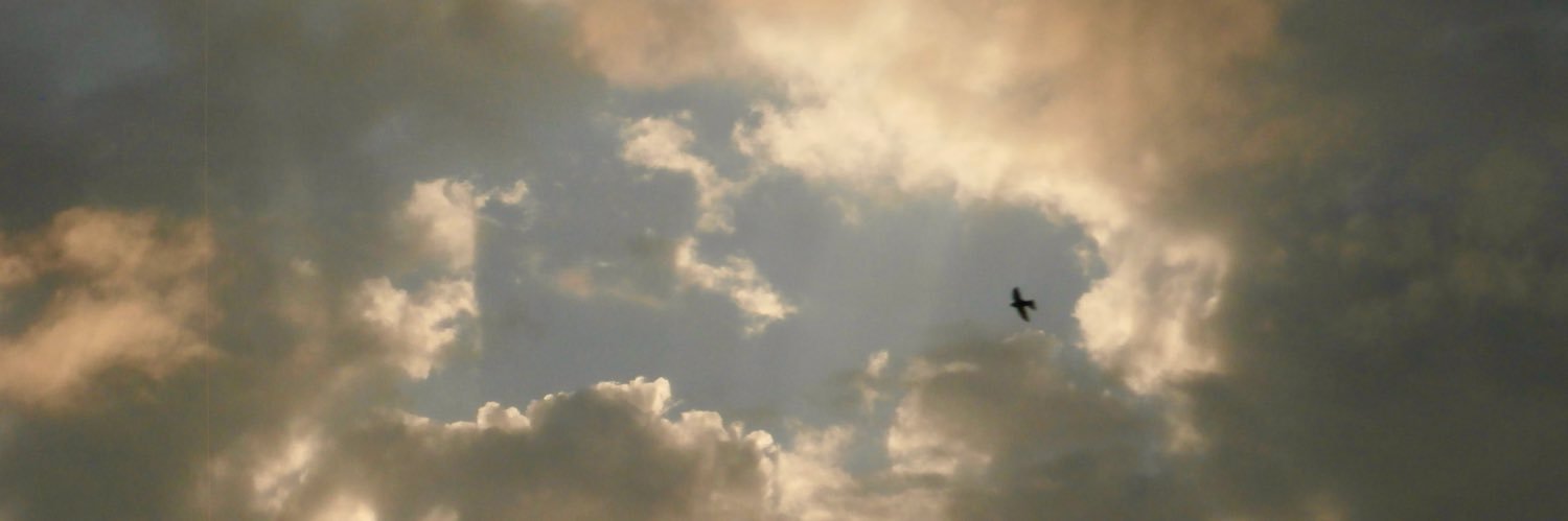 spollding's profile banner image