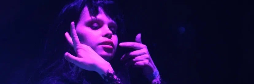 огненный лис🦊🐍 banner
