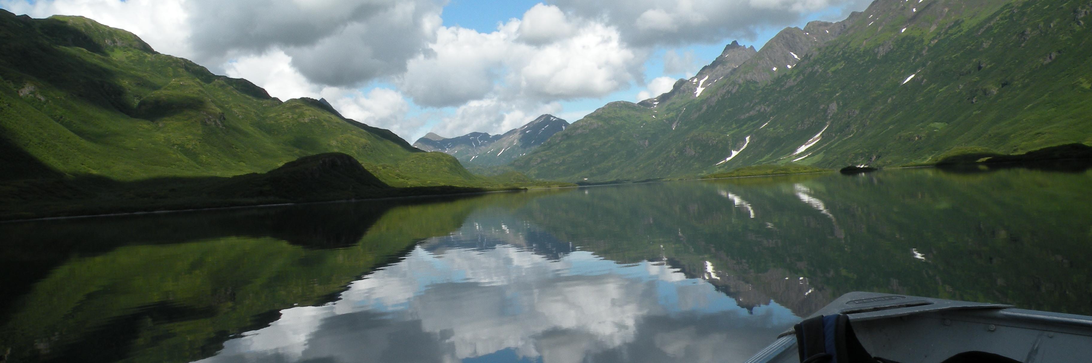 Ulrike Hilborn banner