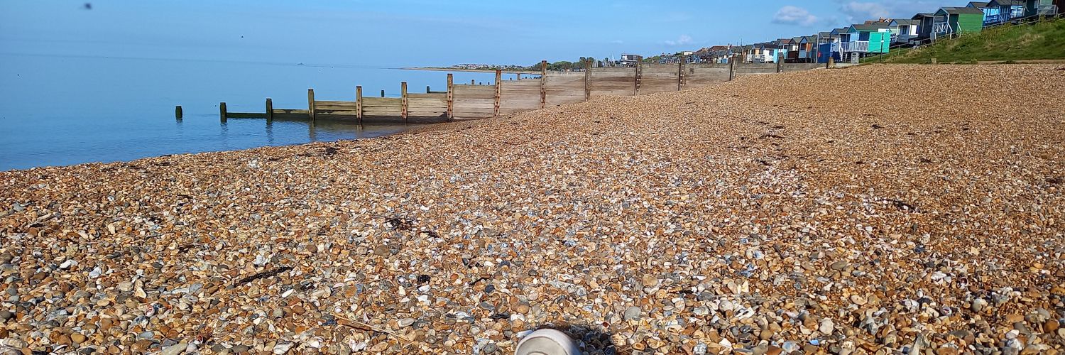 Simone Vibert banner