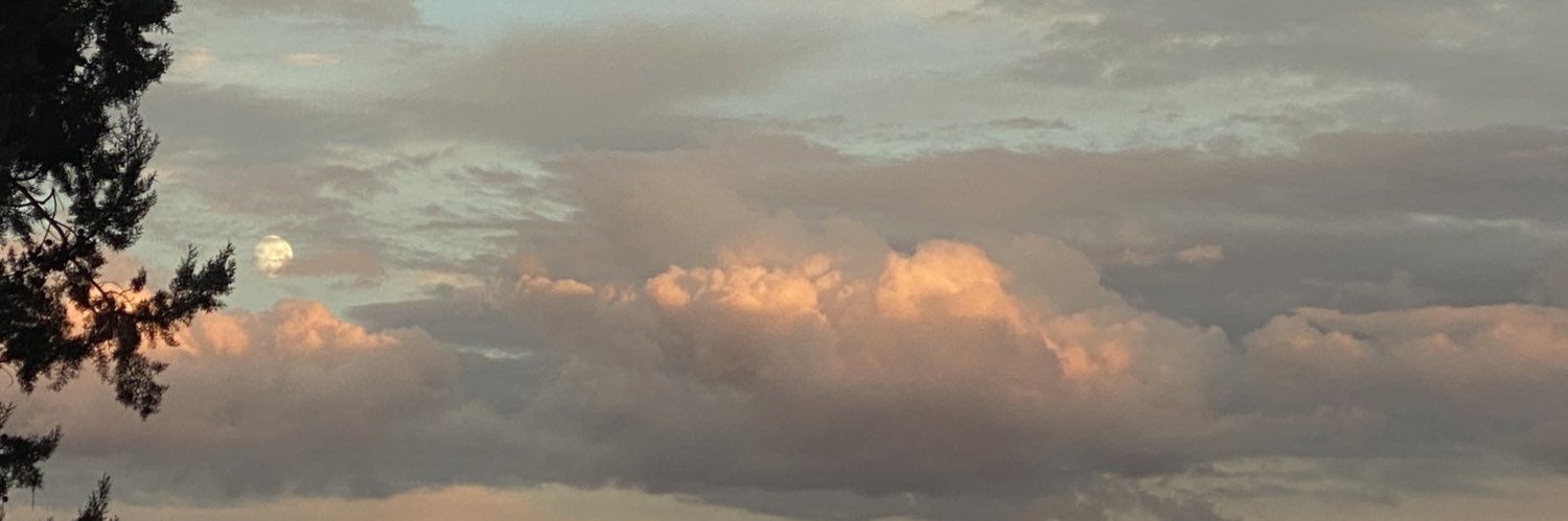 mufflanders's profile banner image