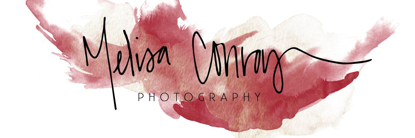 MelisaConroy's profile banner image