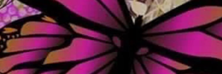 rhncook123's profile banner image