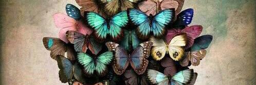 eve_ehan's profile banner image