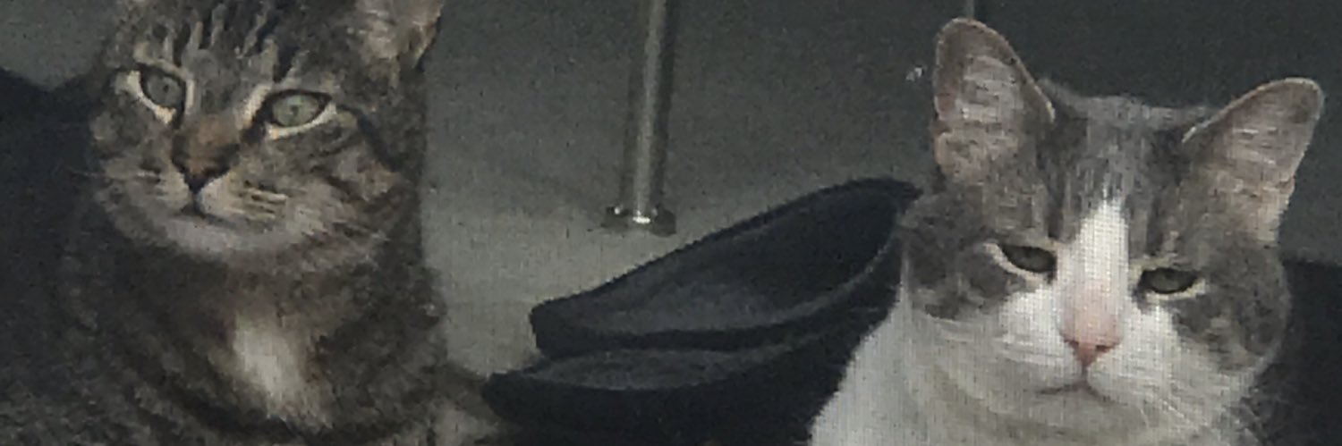 Julie 🇺🇸🇺🇸🇺🇸❤️ banner