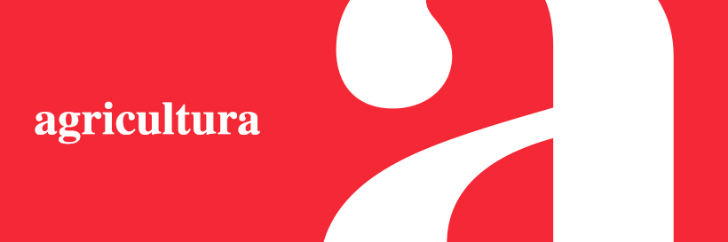 Directo al Grano banner