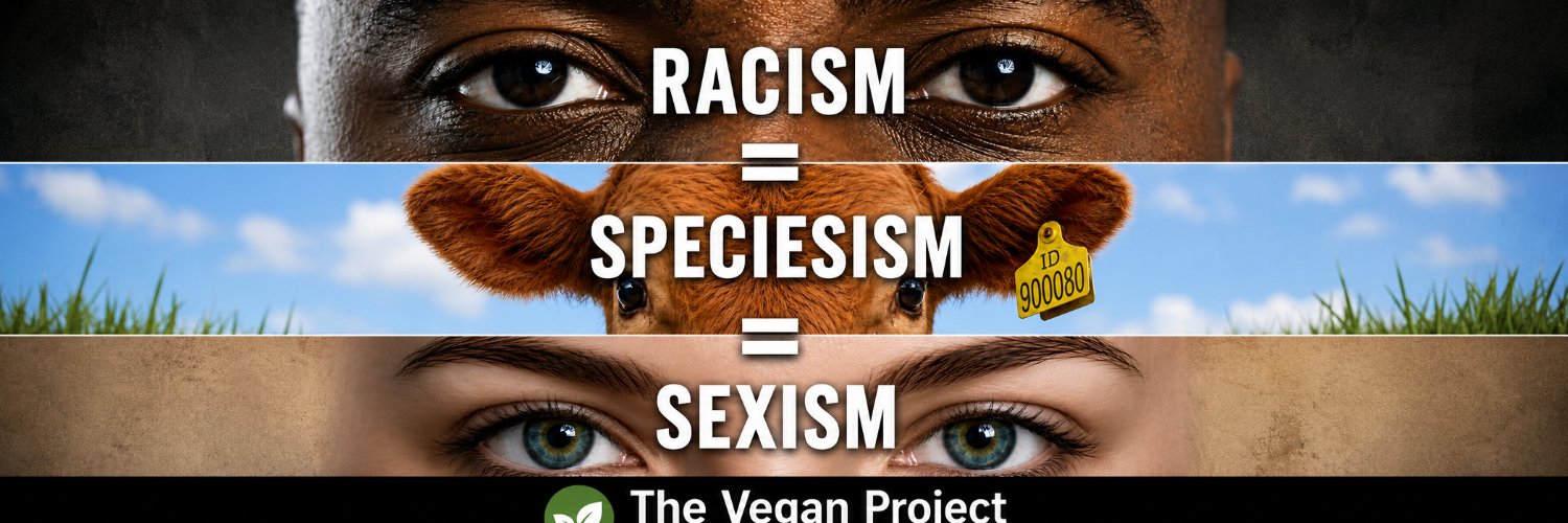 MarcoSimoni_Veg's profile banner image