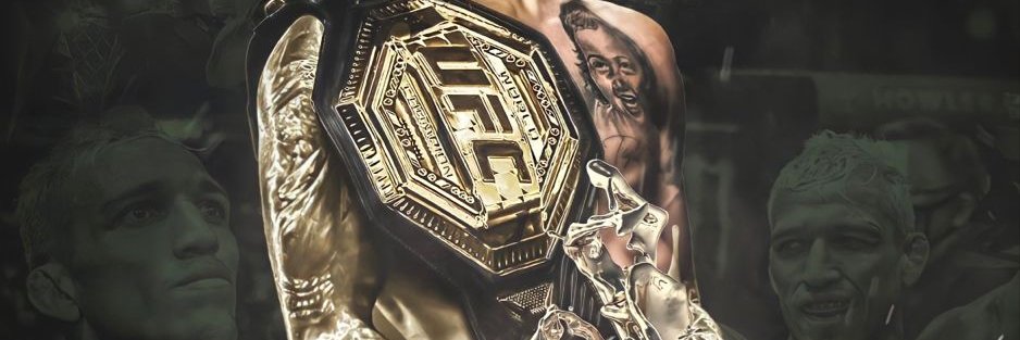 Finn banner