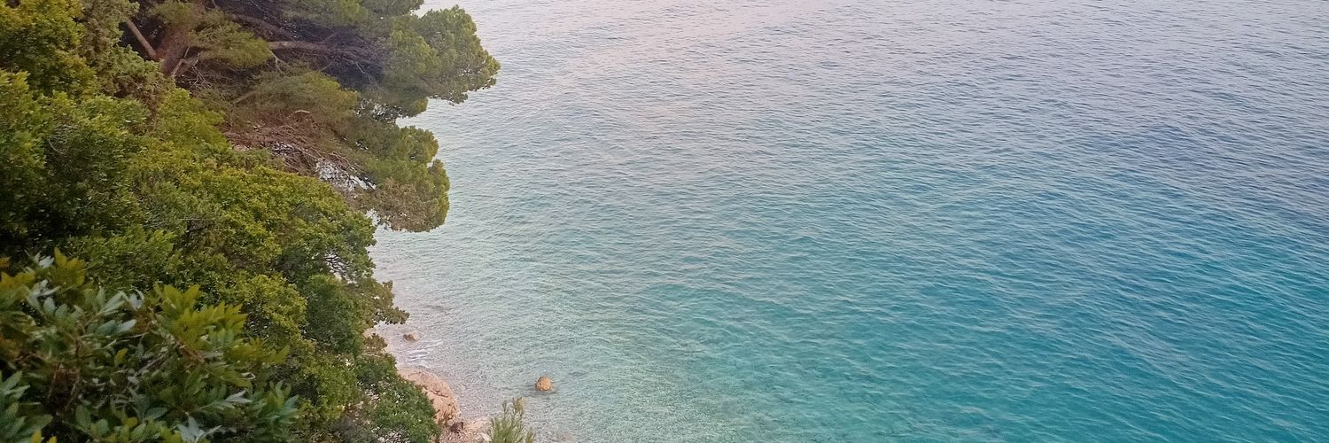 romanrename's profile banner image