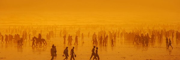 SAPIENS_org Profile Banner