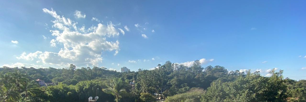 Greicy Vasconcellos banner