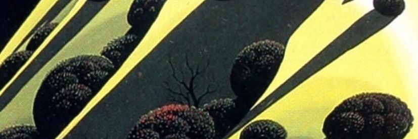 koffi_ww's profile banner image