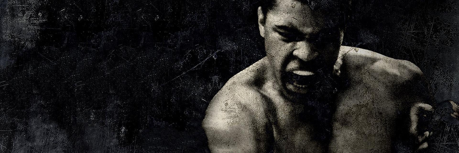 FightSide's profile banner image