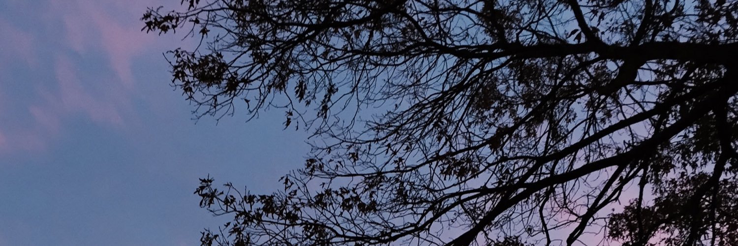 CLCheesmanEdD's profile banner image