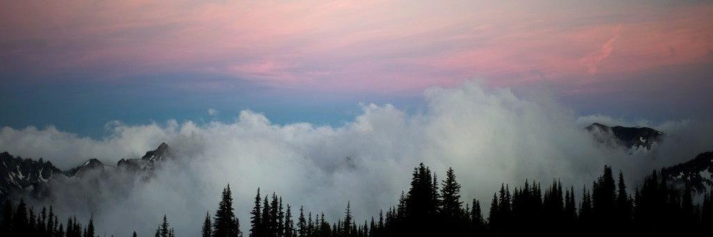 ijwuff's profile banner image