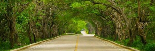 JessicaAlava's profile banner image