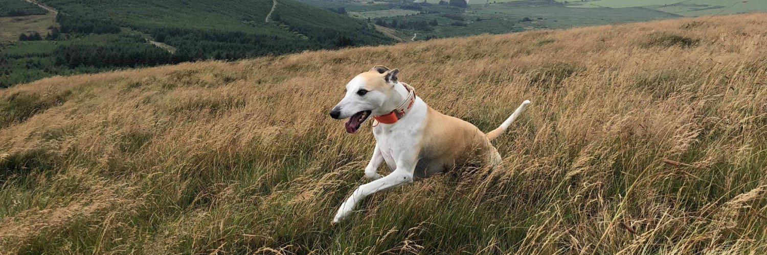 Gordon Thomas banner