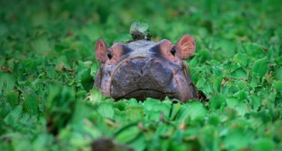 aloshelle's profile banner image