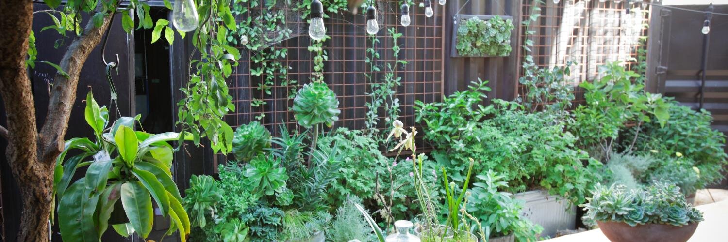 BaylorChapman Lila B banner