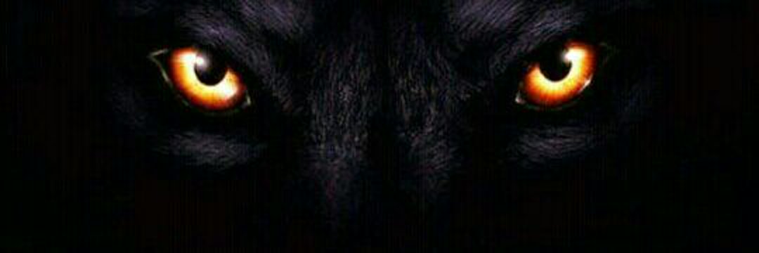 ivar660's profile banner image