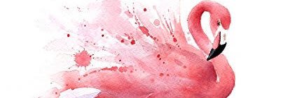 IvanniaJs's profile banner image