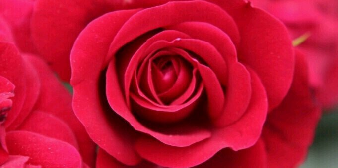 mire1102's profile banner image