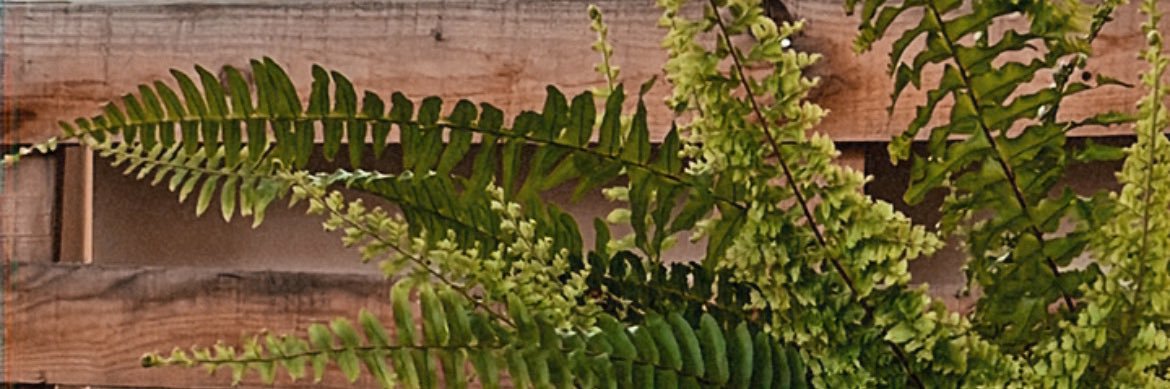 _jeessii's profile banner image