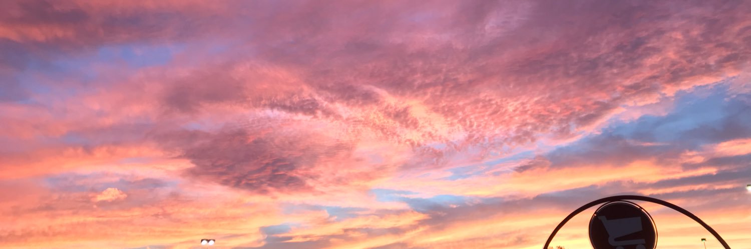 anna pearl banner