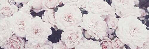xxox___O9's profile banner image