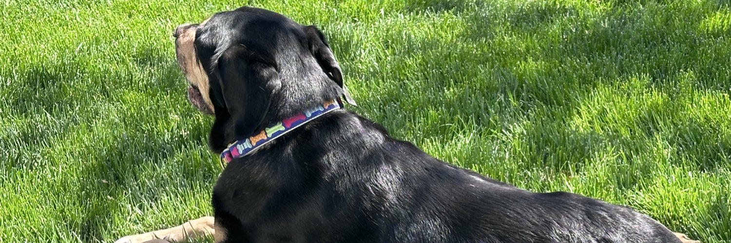 leftylis's profile banner image