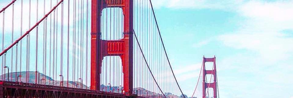 Amy Willer banner