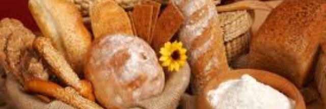 auguste raynal banner