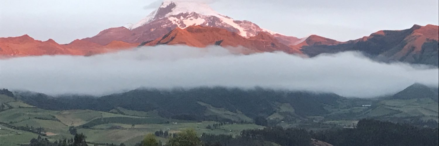 guimocaval's profile banner image