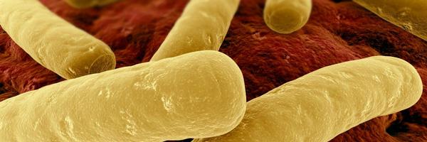 CDiffAwareness Profile Banner