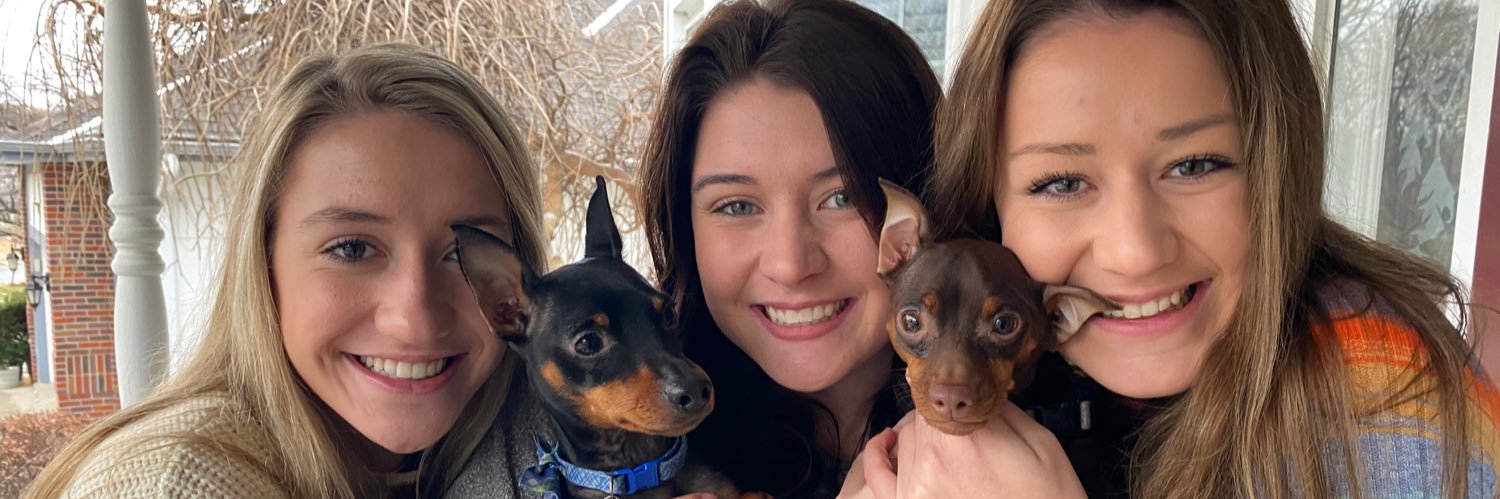 lisawillman's profile banner image