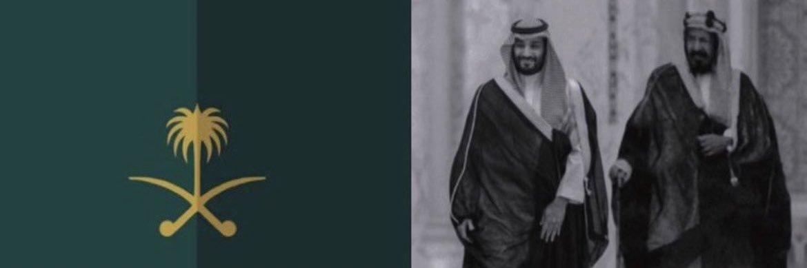 وليد محمد عمرود banner