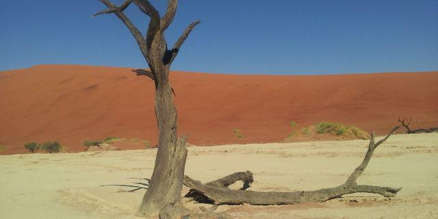 Tega_U's profile banner image
