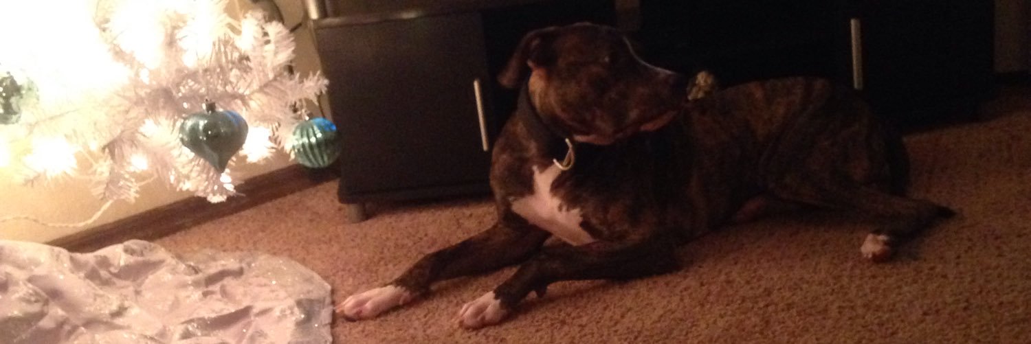 pitMomma49's profile banner image