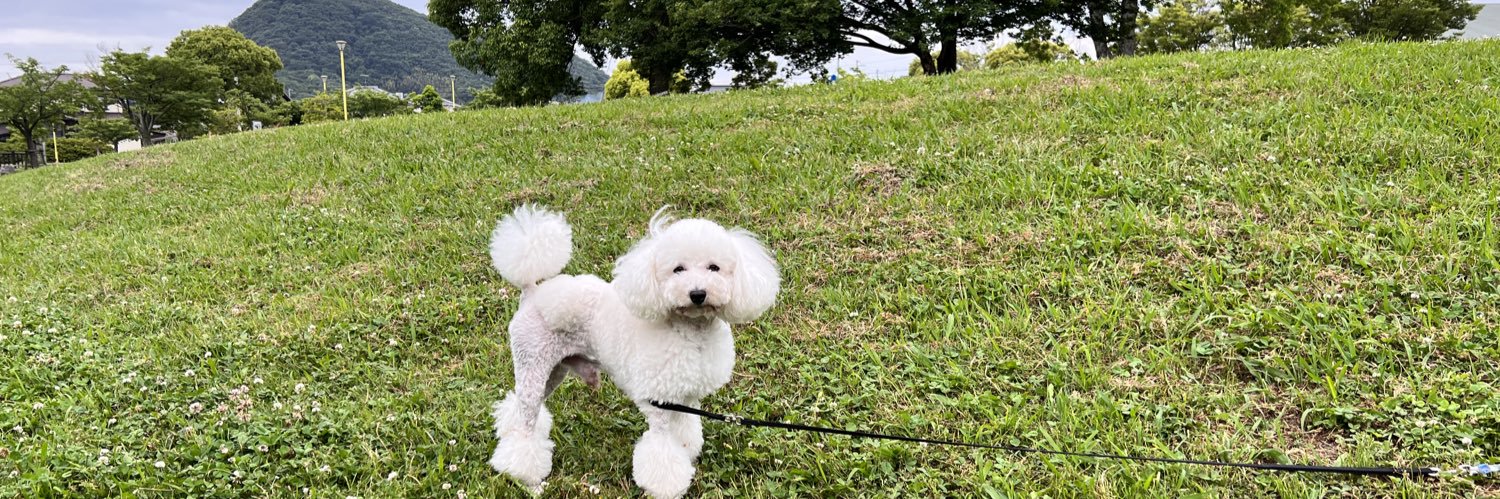 _snoopy_7's profile banner image