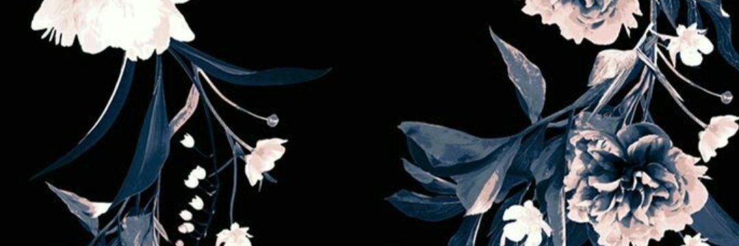 JulianaaErica's profile banner image