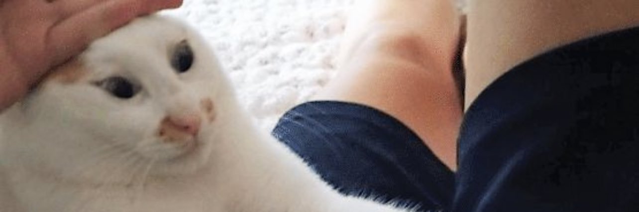 edugatoooo's profile banner image