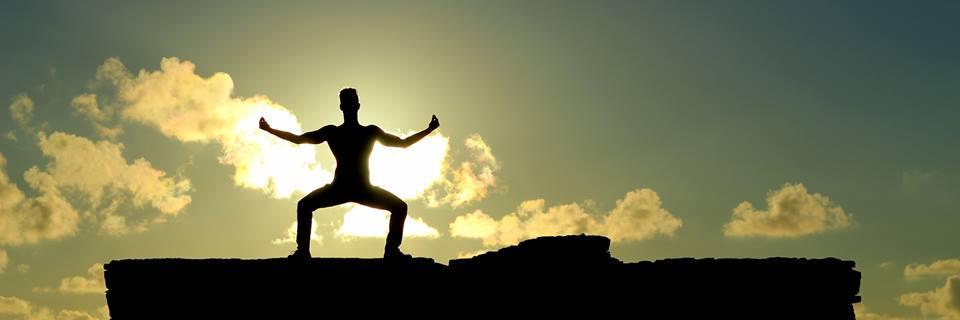 Marc Feder מרדכי אריה banner