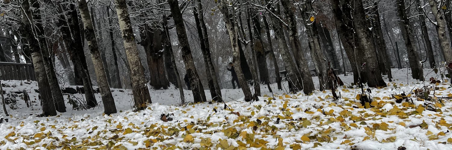 ناصر banner