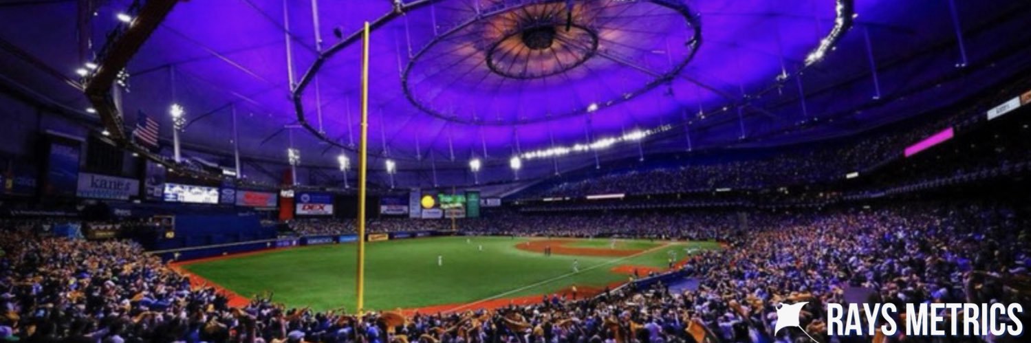 Rays Metrics's banner